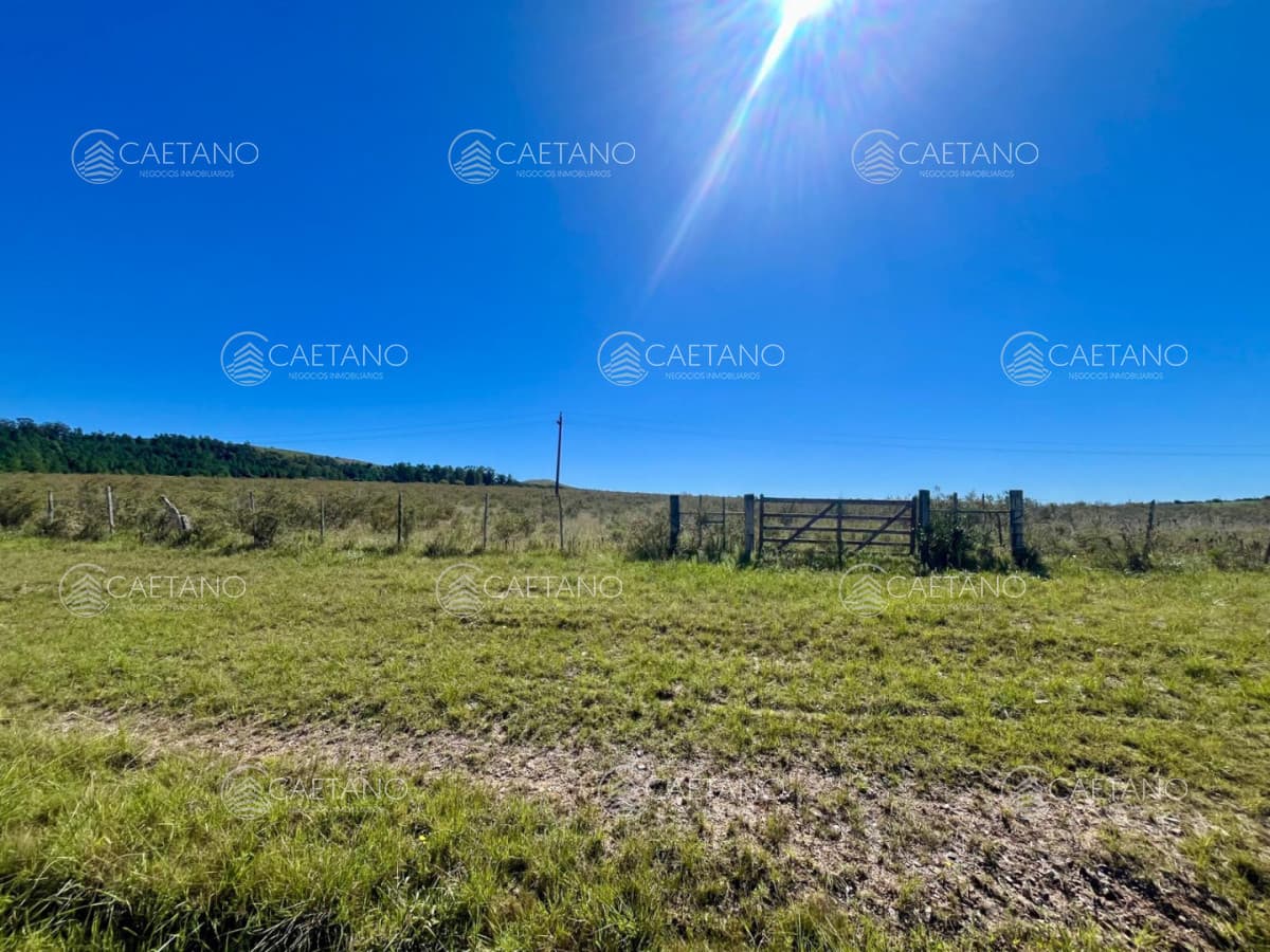 CHACRA EN VENTA LA PATAIA 10 HECTAREAS — foto 3