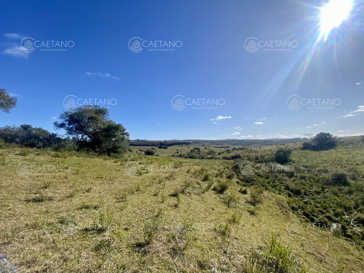 Venta chacra 5 hectáreas. Camino del Olivo, Pueblo Edén. — foto 3