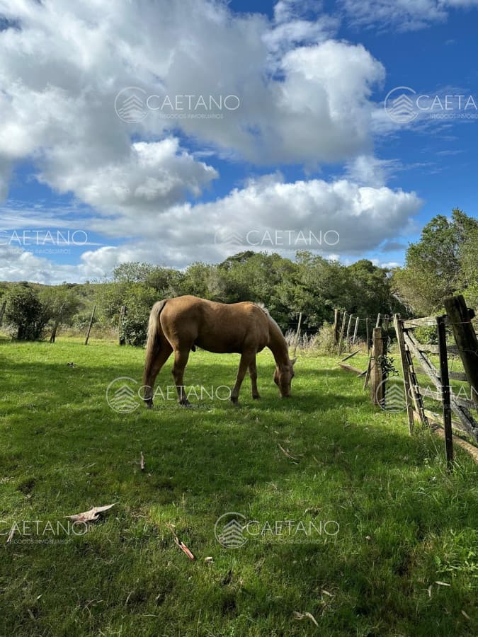 Venta Chacra Minas, Lavalleja — foto 3