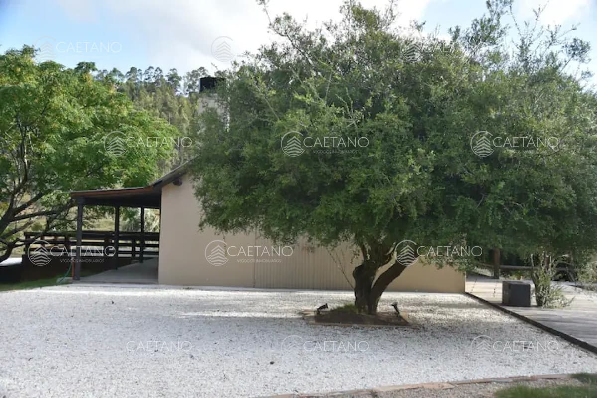Alquiler temporal chacra 5 dormitorios. Sierra de las cañas, Punta del este — foto 2