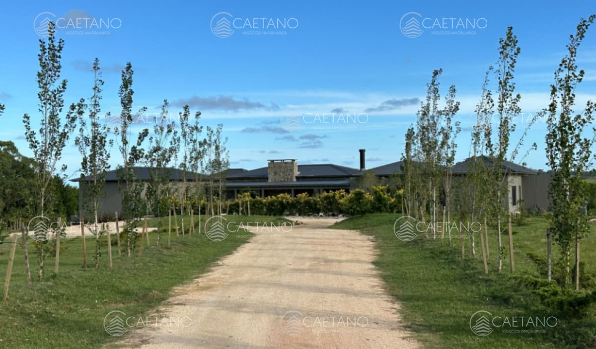 Venta chacra 7 dormitorios. José Ignacio, Maldonado. — foto 3