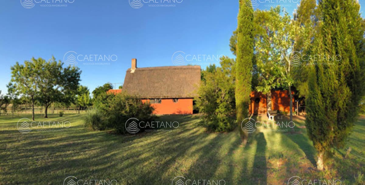 Venta Chacra 5 Hectáreas. Nueva Helvecia, Colonia — foto 3