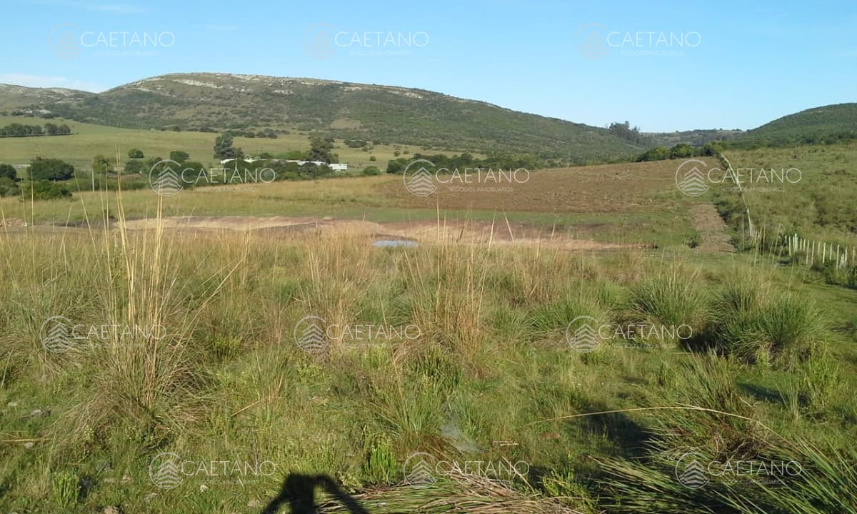 Chacra de 7 has en venta en Sierra de los Caracoles — foto 2