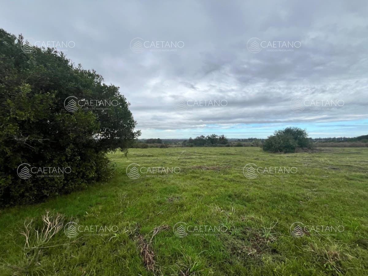 Venta de chacras de 3 has en camino de Los Ceibos. Maldonado. — foto 2
