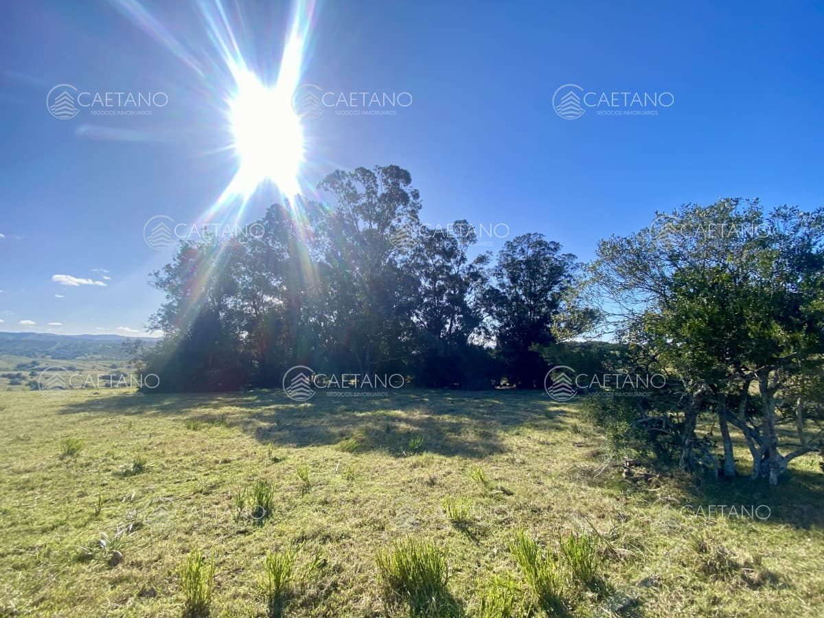 Venta chacra 5 hectáreas. Camino del Olivo, Pueblo Edén. — foto 2