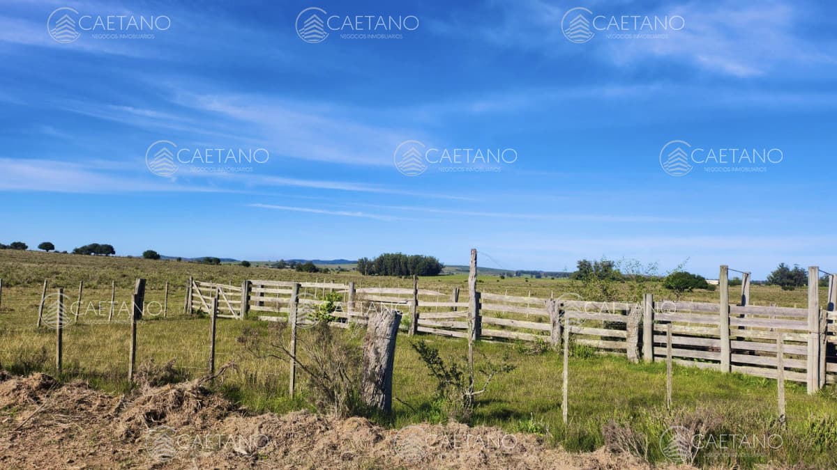 Venta chacras linderas 4has Pueblo Edén