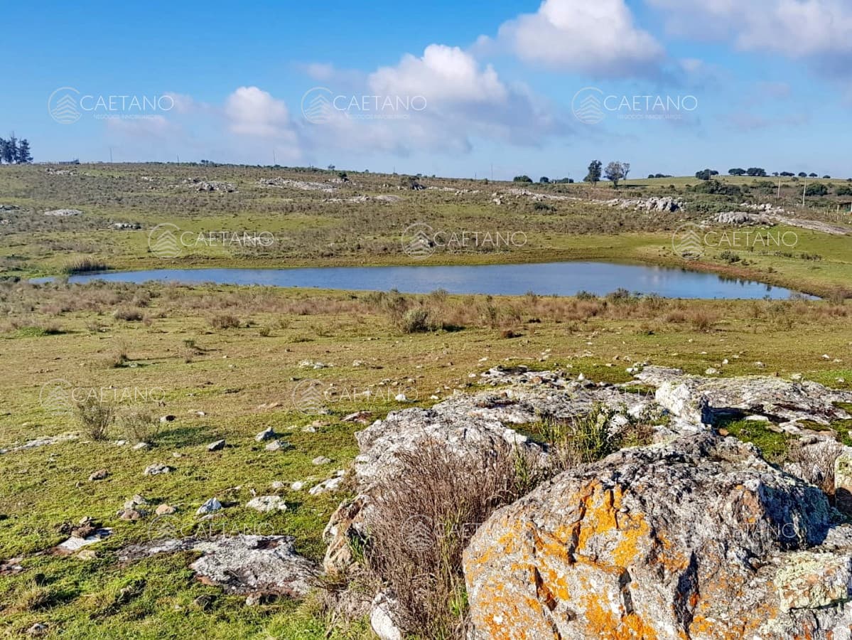 Vendo chacras en Ruta 9, entre ruta 12 y Pan de Azucar, Maldonado. FINANCIO.