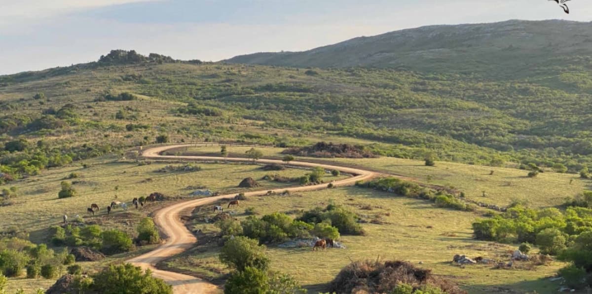Venta chacra 5 hectáreas. Pueblo Edén, Ruta 12 Maldonado.