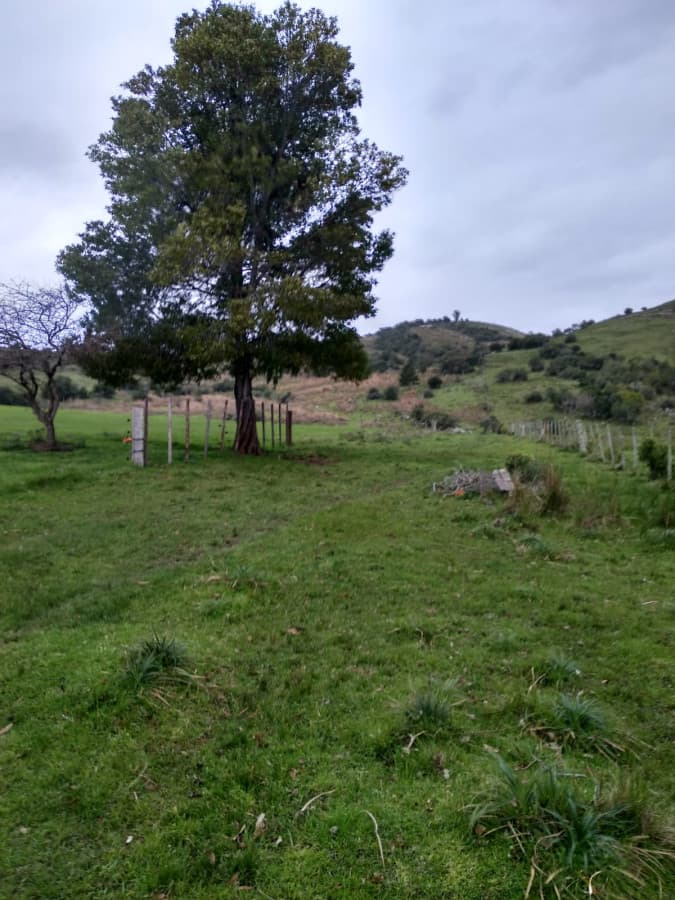 Vendo excelente chacra de 39 hectáreas para granja turística o tambo, Aiguá, Punta del Este