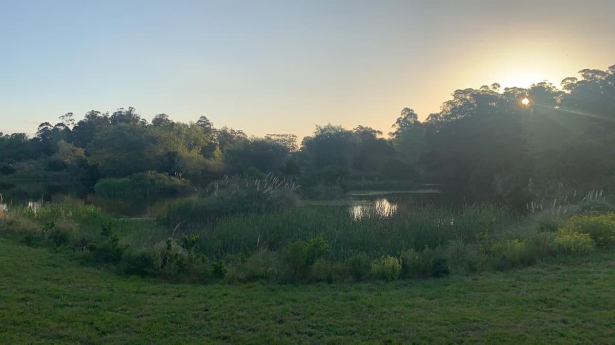 Venta chacra 10 hectáreas La barra, Maldonado