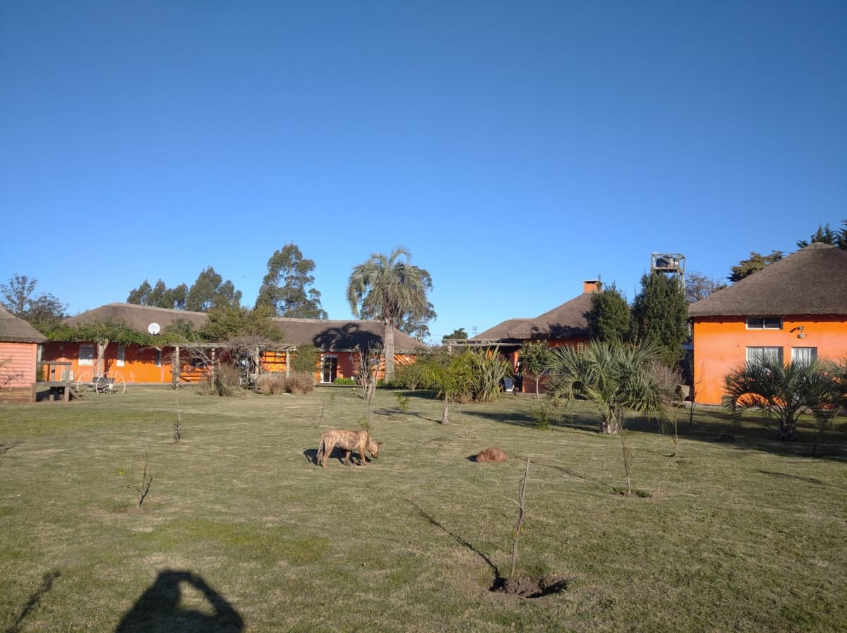 Casa en alquiler en Punta del Este