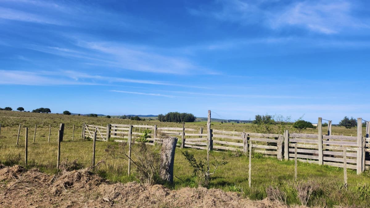 Venta chacras linderas 4has Pueblo Edén