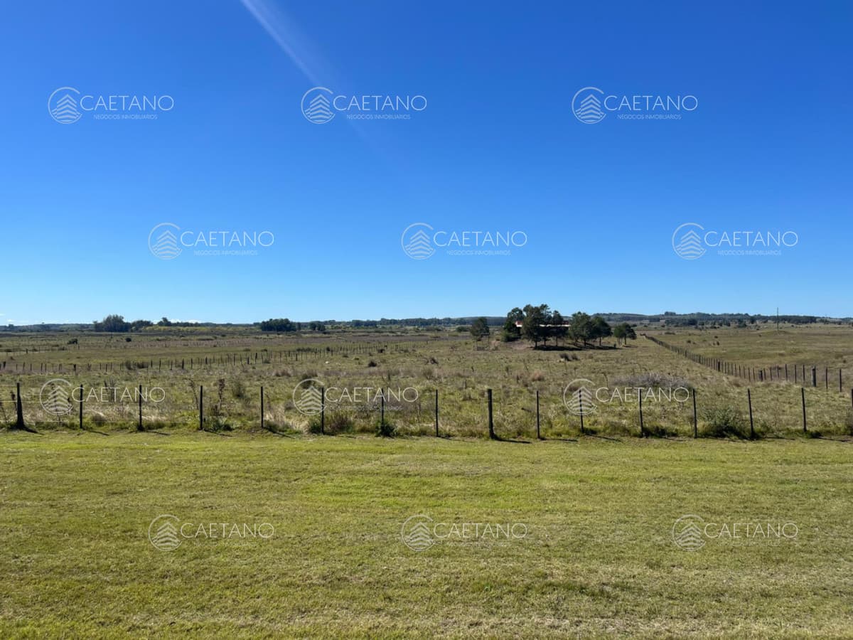 Terreno en alquiler en Maldonado
