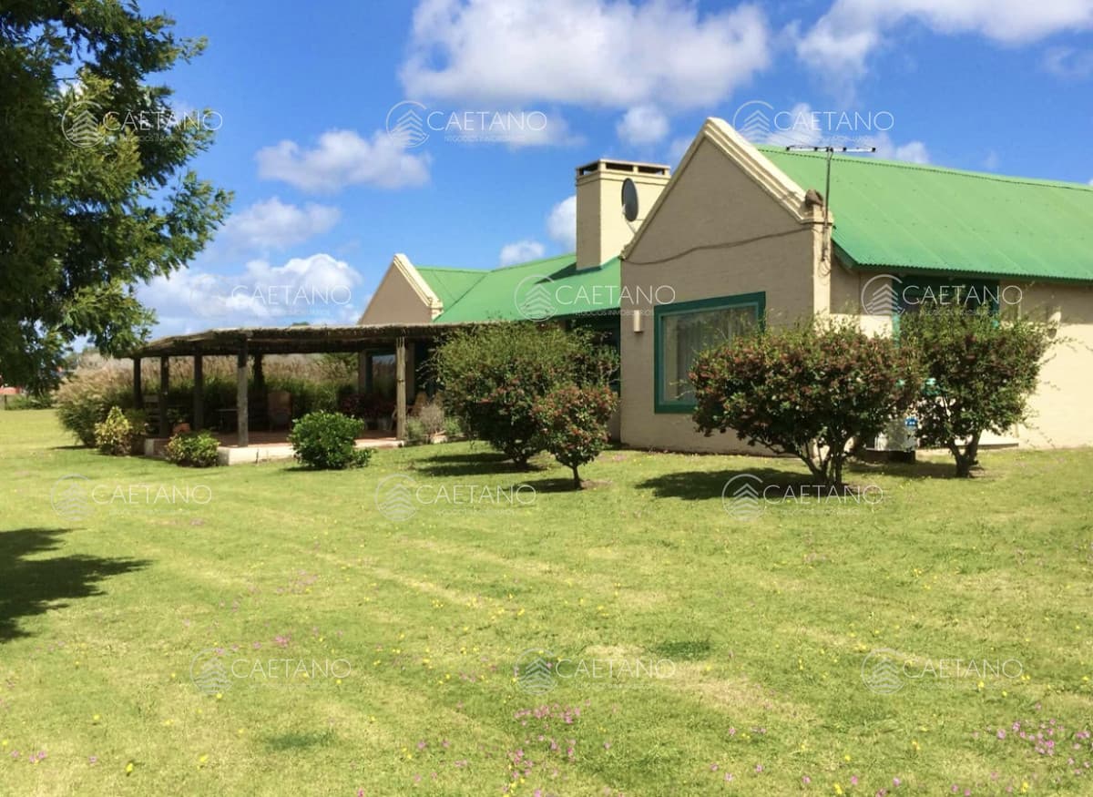 Venta espectacular chacra de 10hás en Punta Ballena - Dos casas, piscina, parrillero — foto 2