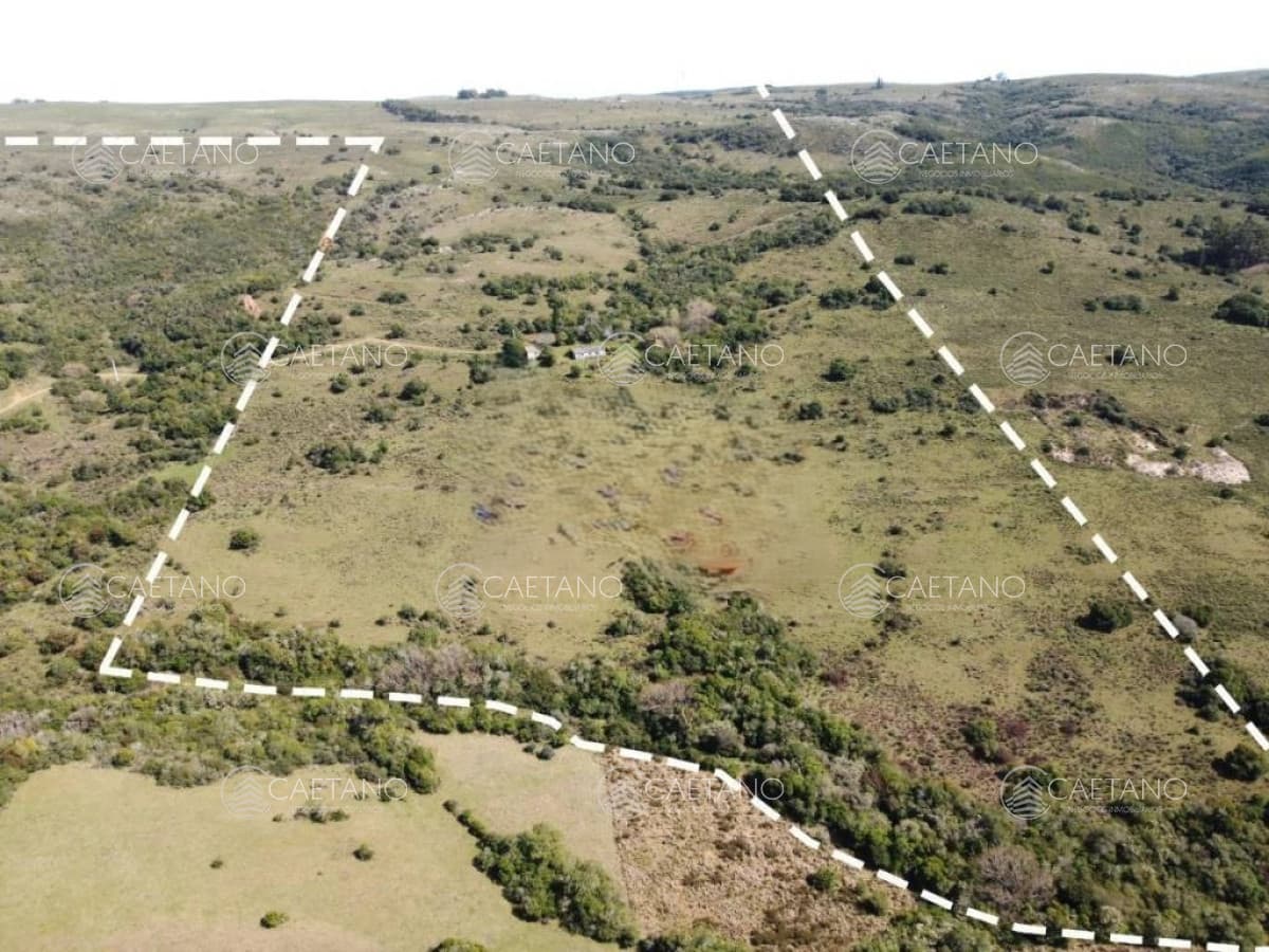 Venta Campo 80 hectareas