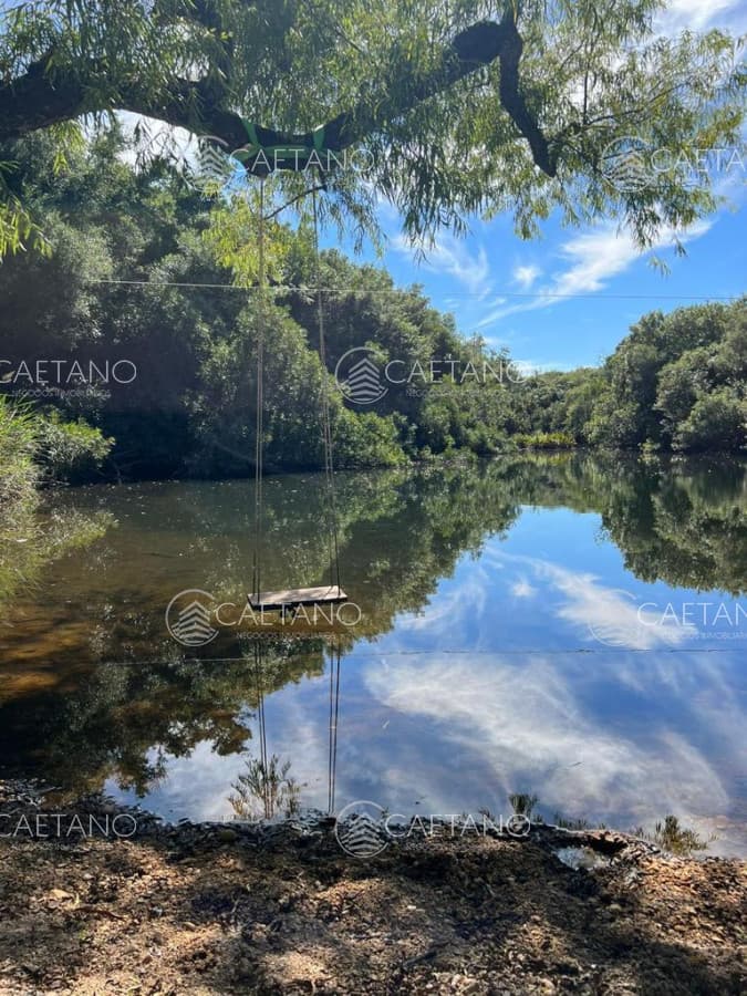 Campo de 89 has en venta Pueblo Eden
