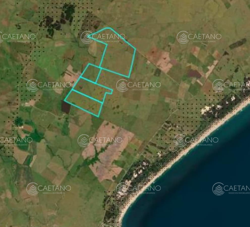 Campo de 800ha en Rocha — foto 3