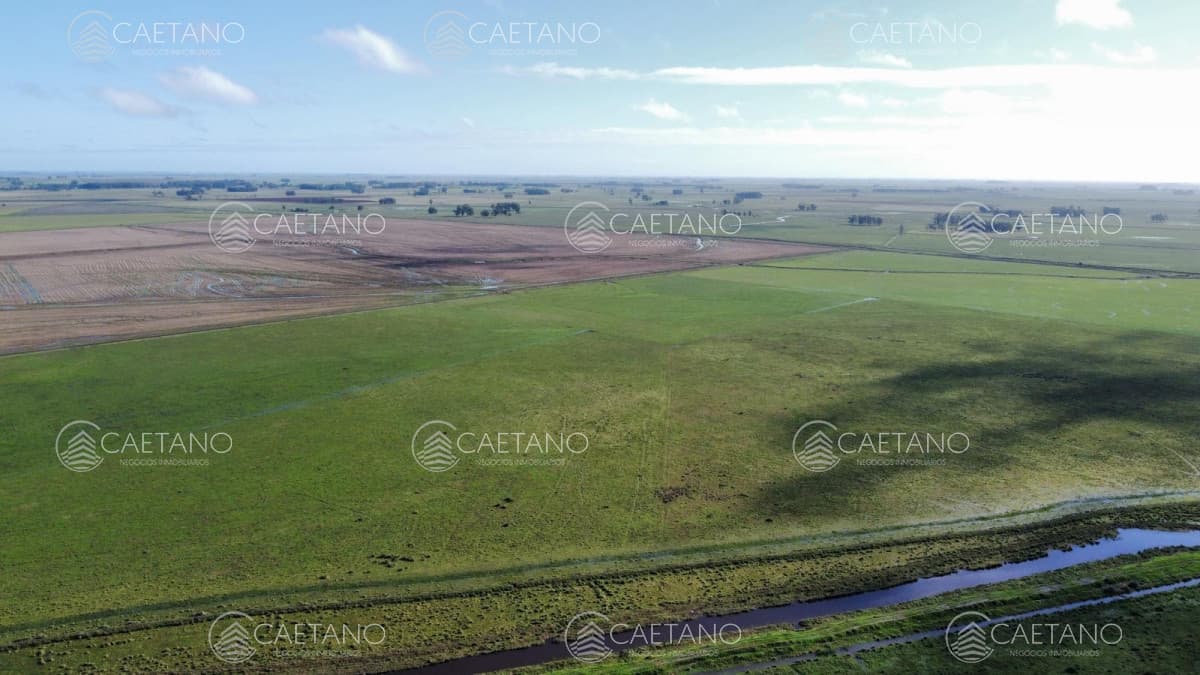 Venta campo agricola ganadero, Lascano Rocha