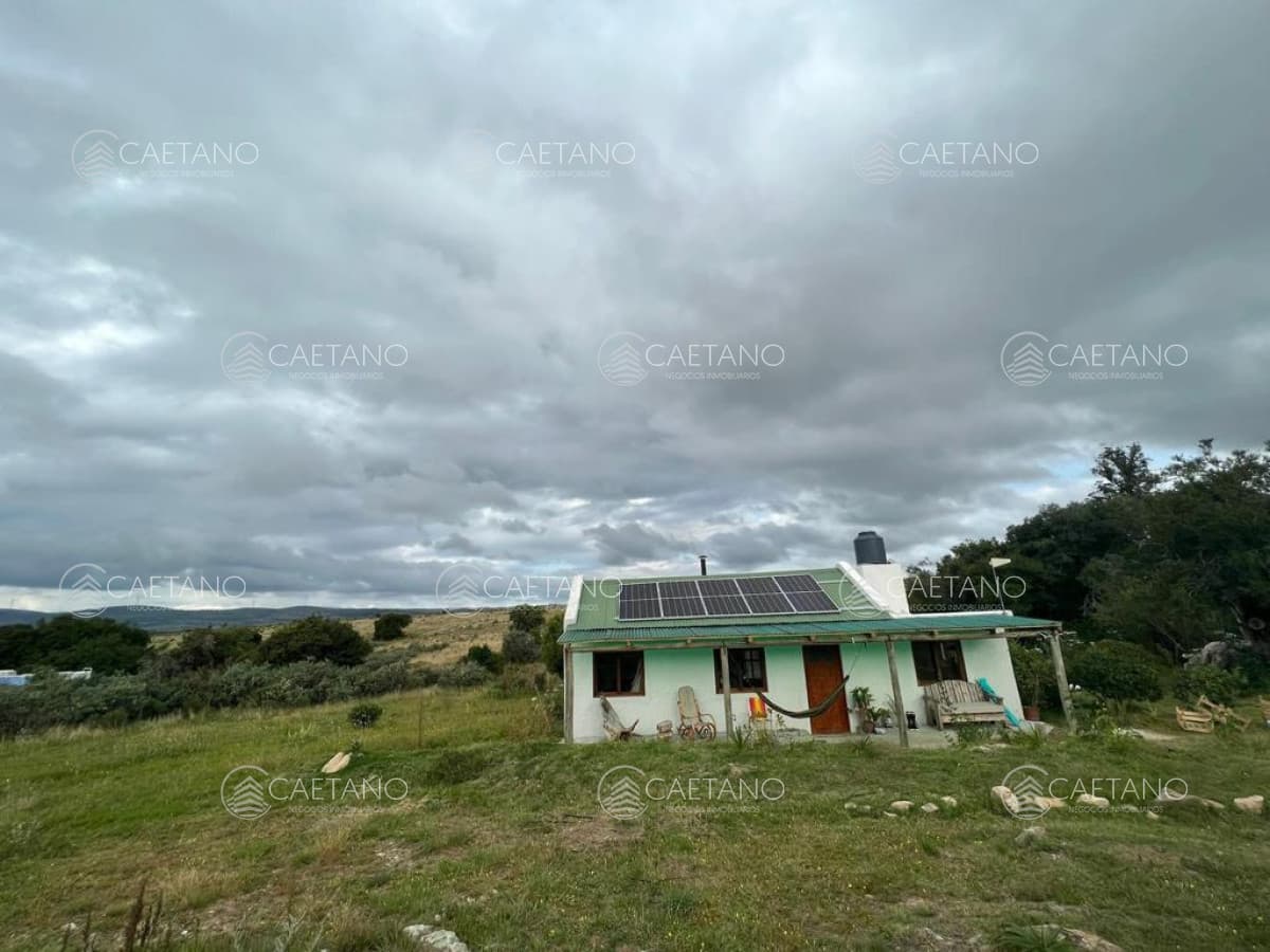Campo de 89 has en venta Pueblo Eden — foto 2