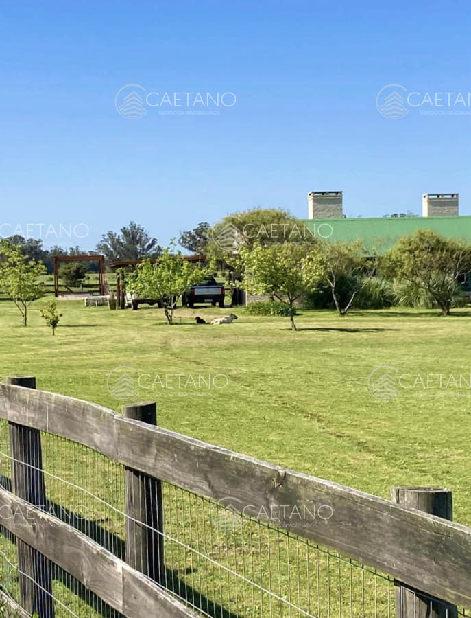 Venta espectacular chacra de 10hás en Punta Ballena - Dos casas, piscina, parrillero — foto 3