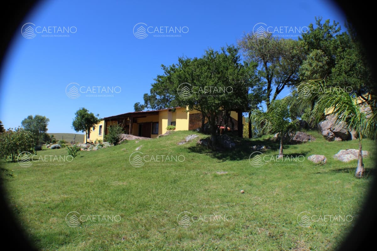 En venta, campo con casa y acceso directo desde ruta 12. Excelentes vistas. — foto 3