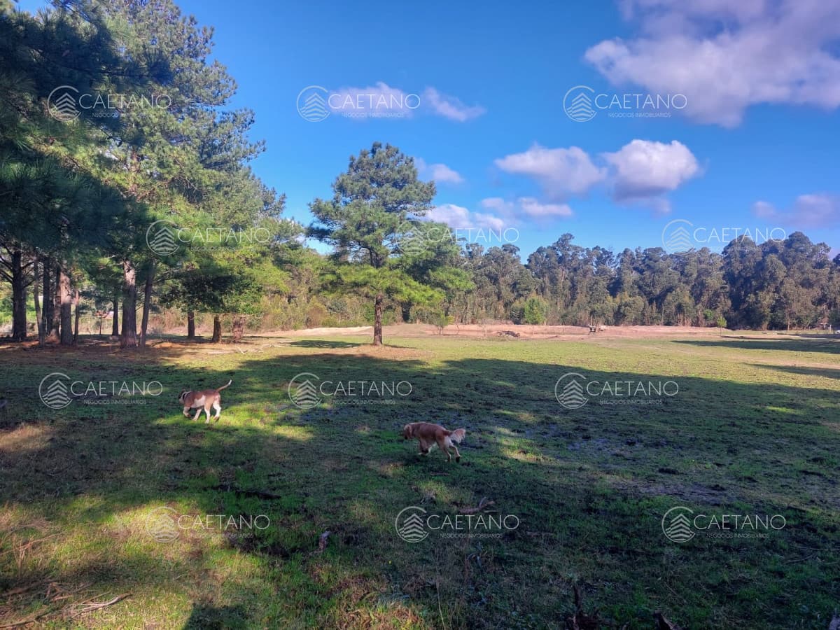 Terreno en alquiler en Canelones — foto 3