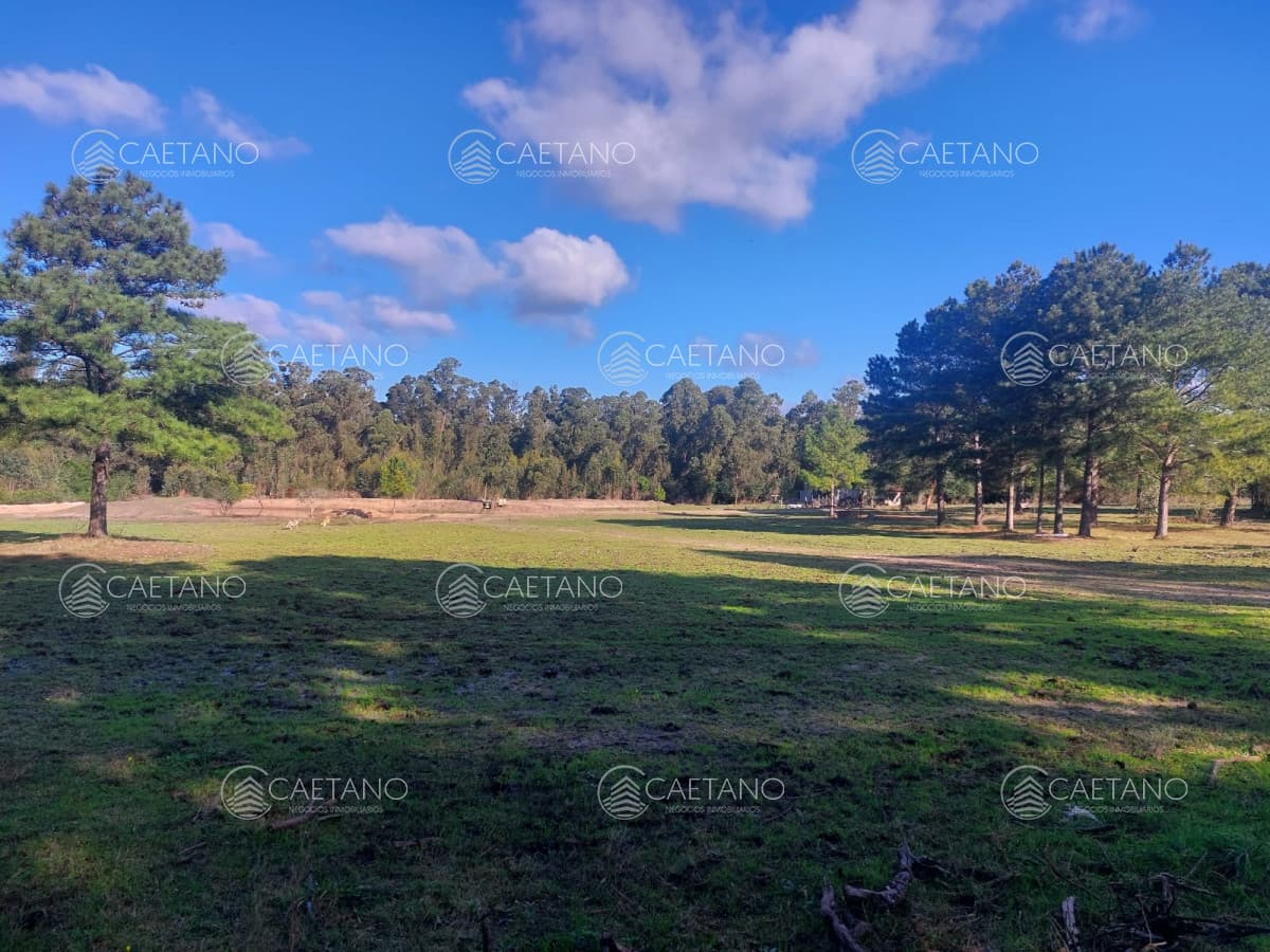 Terreno en alquiler en Canelones