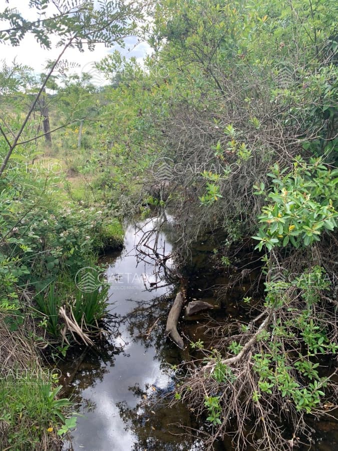 Campo en venta 39 has Aigua — foto 2