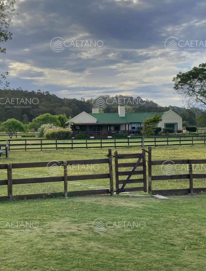 Venta espectacular chacra de 10hás en Punta Ballena - Dos casas, piscina, parrillero