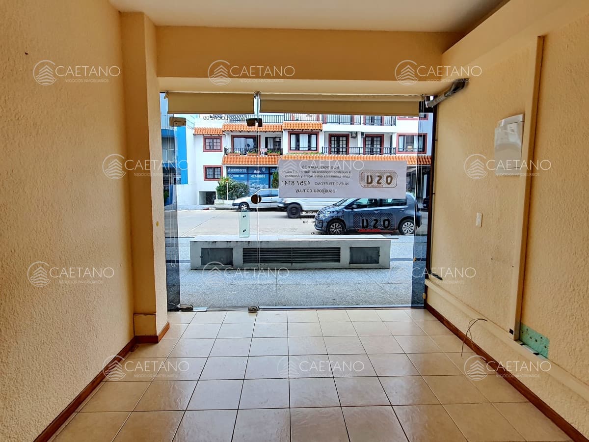Alquilo local a la calle con 2 habitaciones, cocina y baÃƒÂ±o en Peninsula, Punta del Este