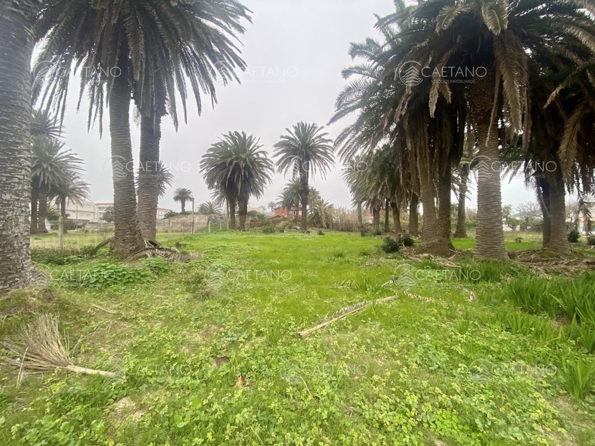 Terreno en venta Península de Punta del Este — foto 2