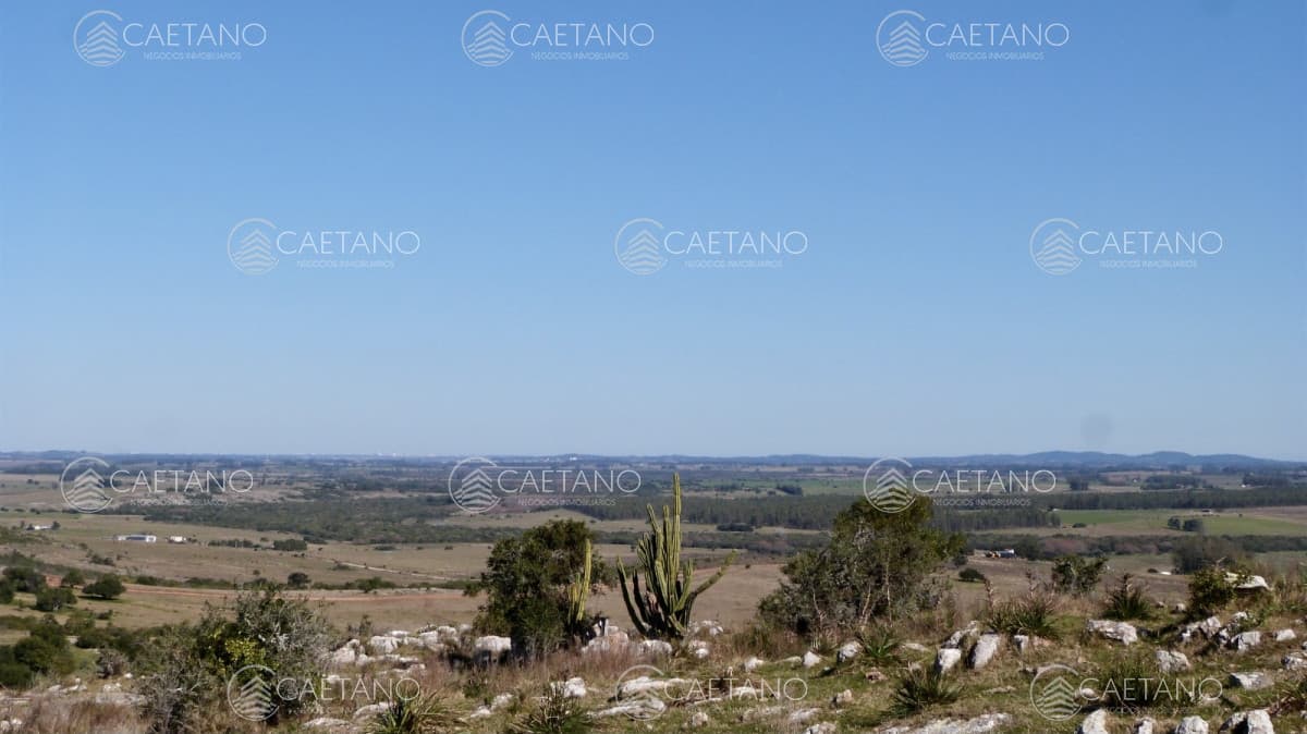 Terreno en venta - Ruta 39