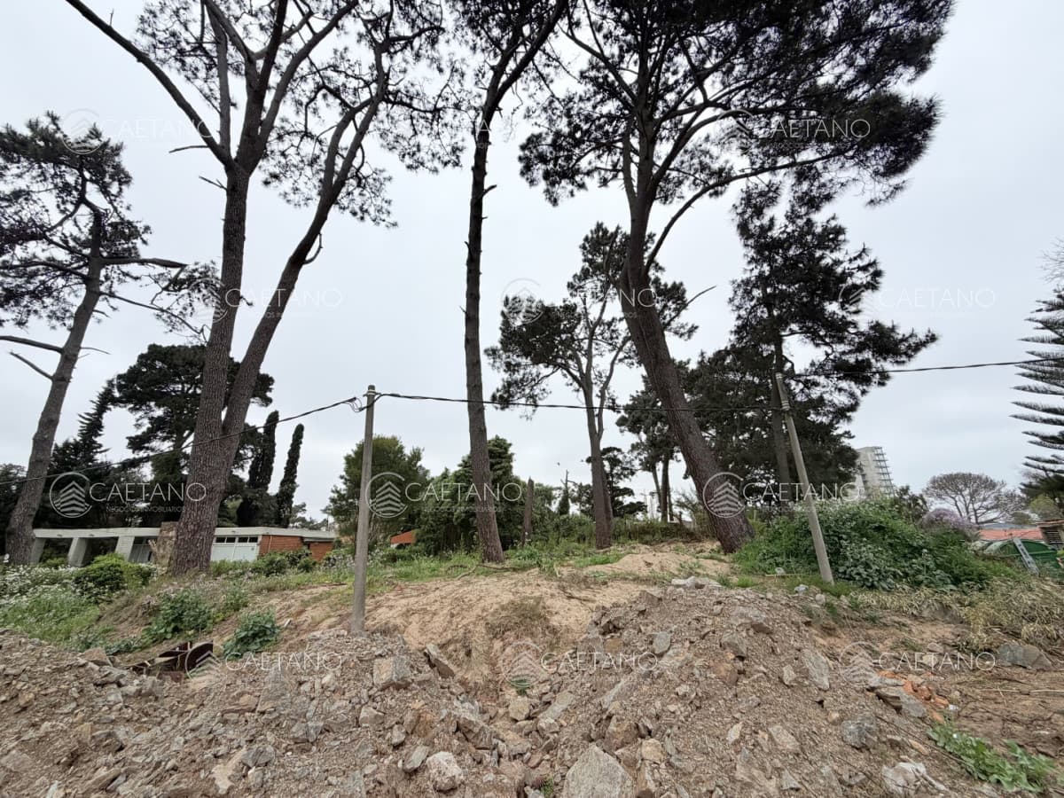 OPORTUNIDAD - Terreno en venta - Punta del Este — foto 2
