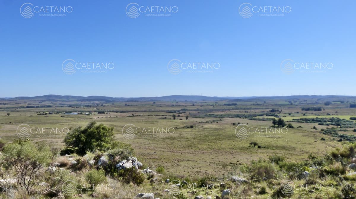 Terreno en venta - Ruta 39 — foto 2