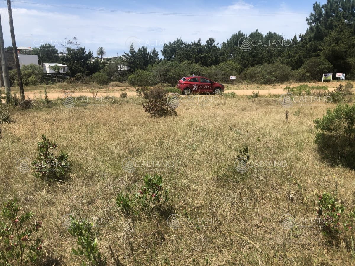 Terreno en venta en Tio Tom — foto 2
