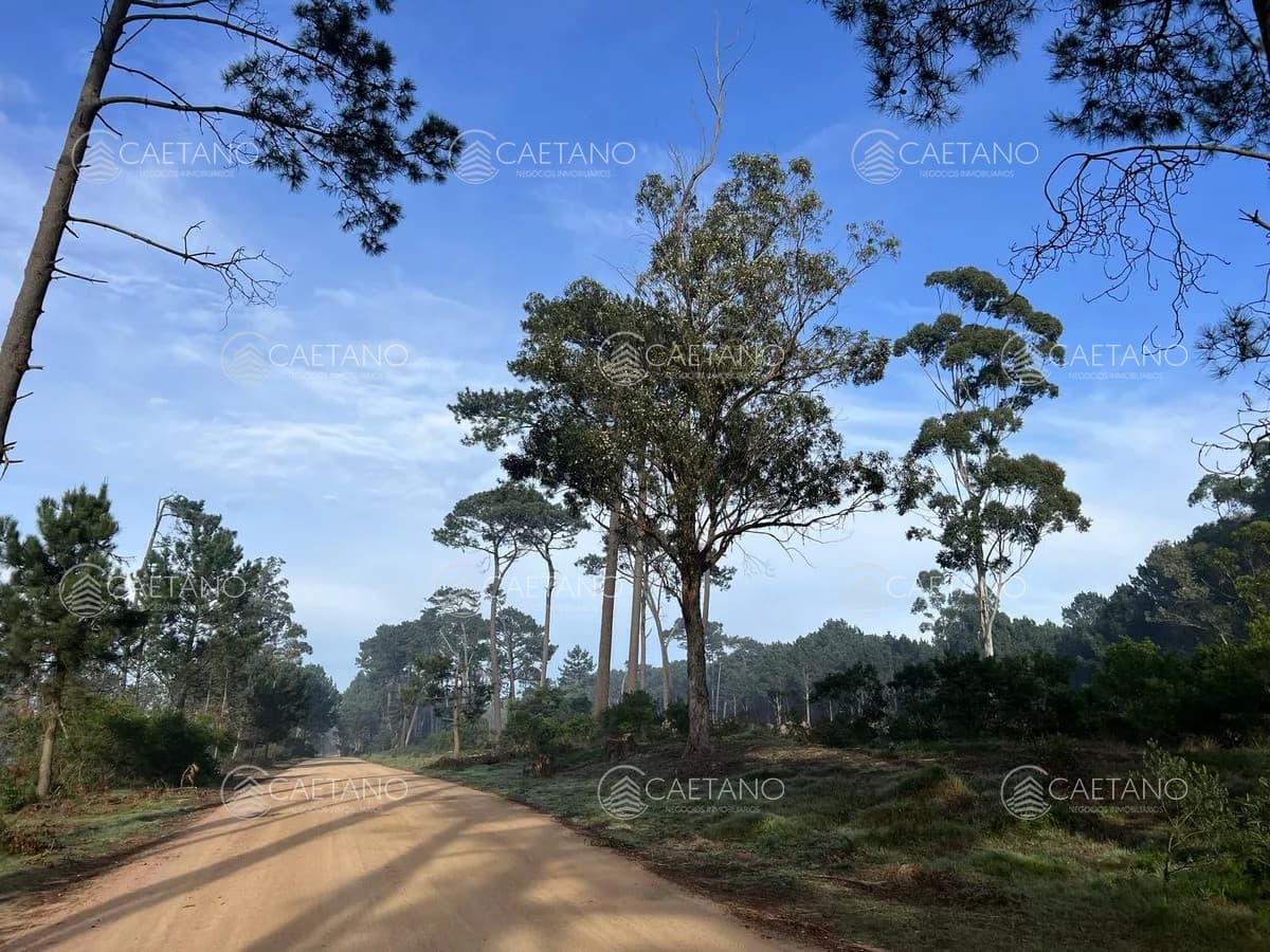 Venta terreno Maldonado