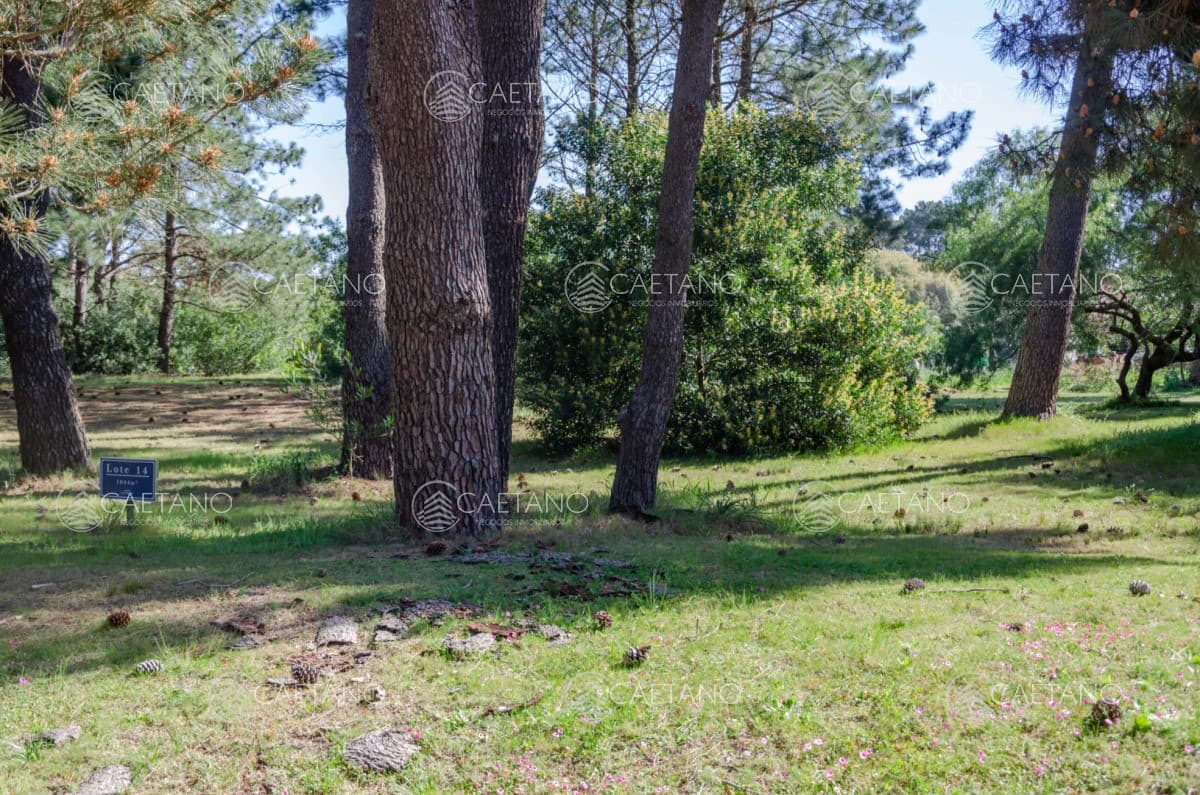 Venta lote en Veramansa, Playa Mansa