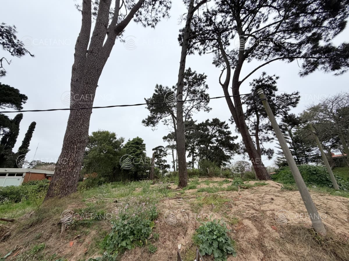OPORTUNIDAD - Terreno en venta - Punta del Este