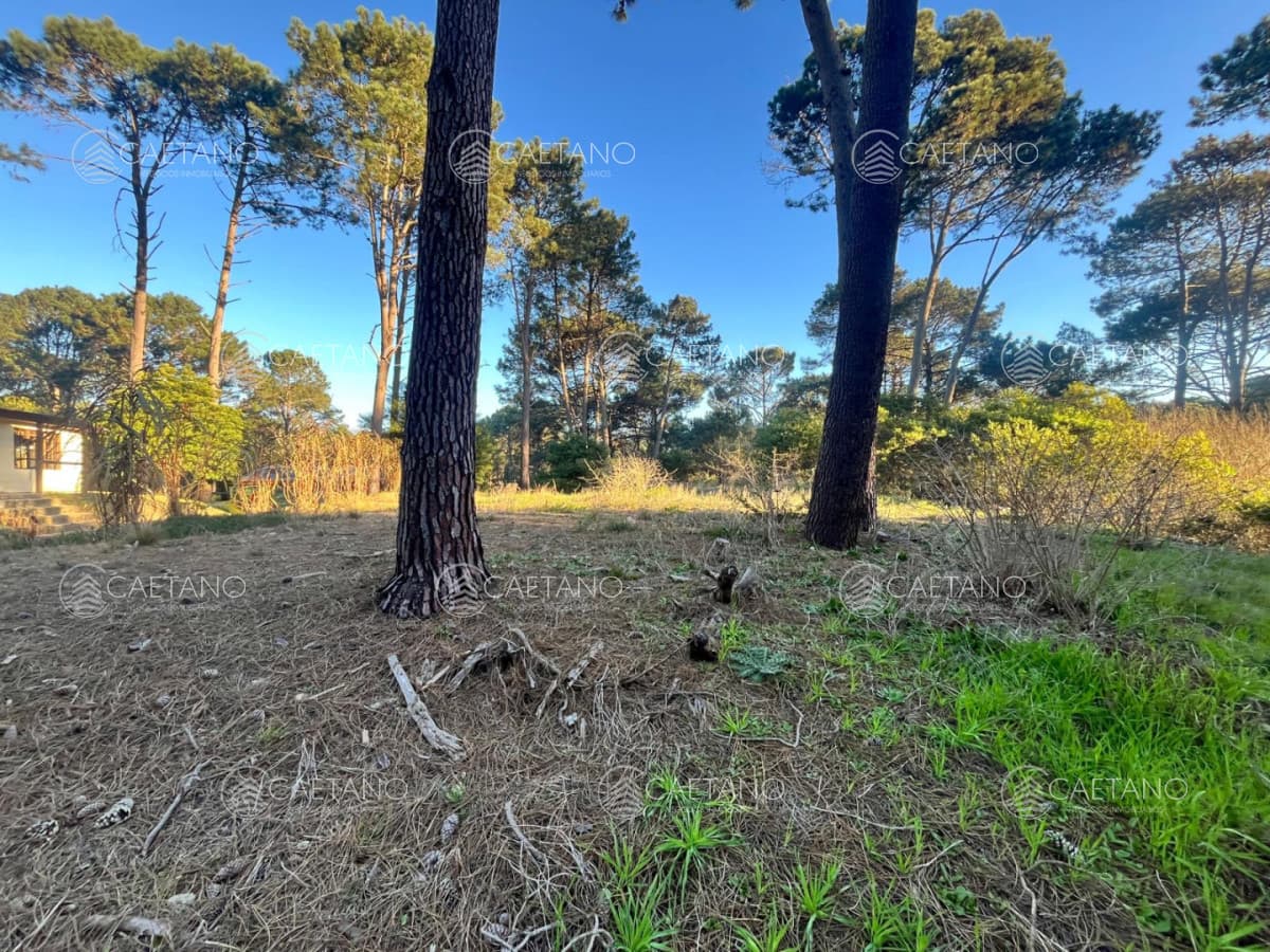 Terreno en venta en Club del Lago, Punta Ballena