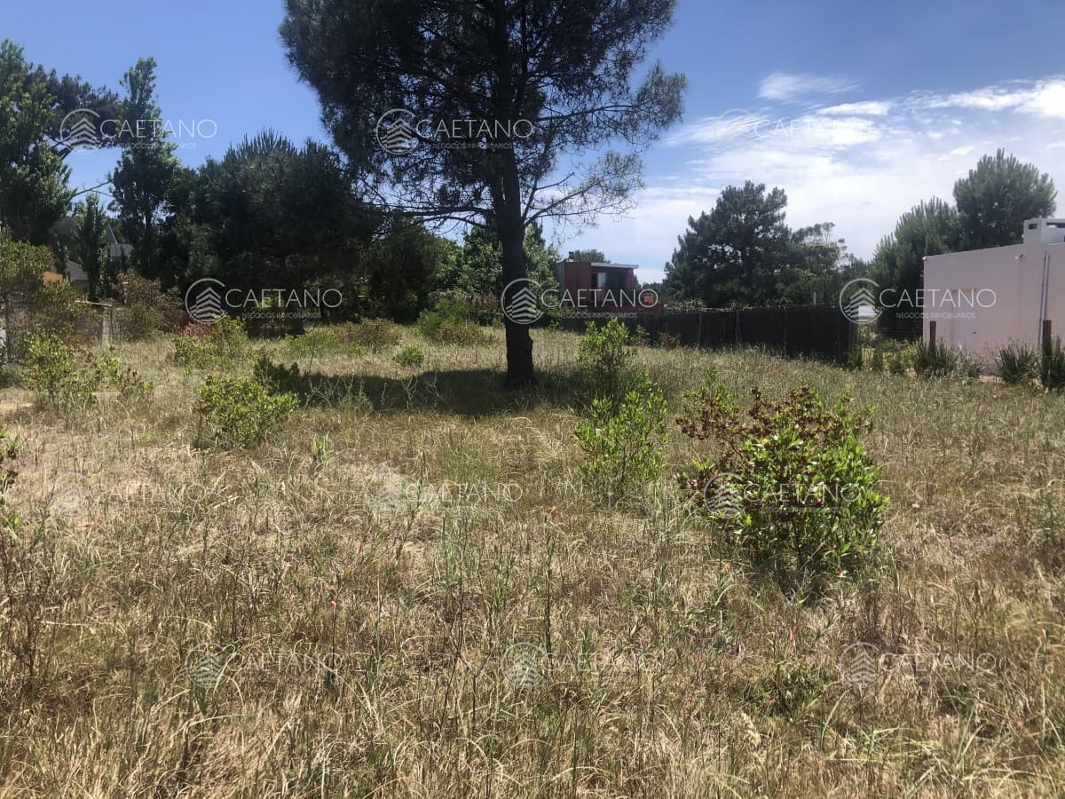 Terreno en venta en Tio Tom — foto 3