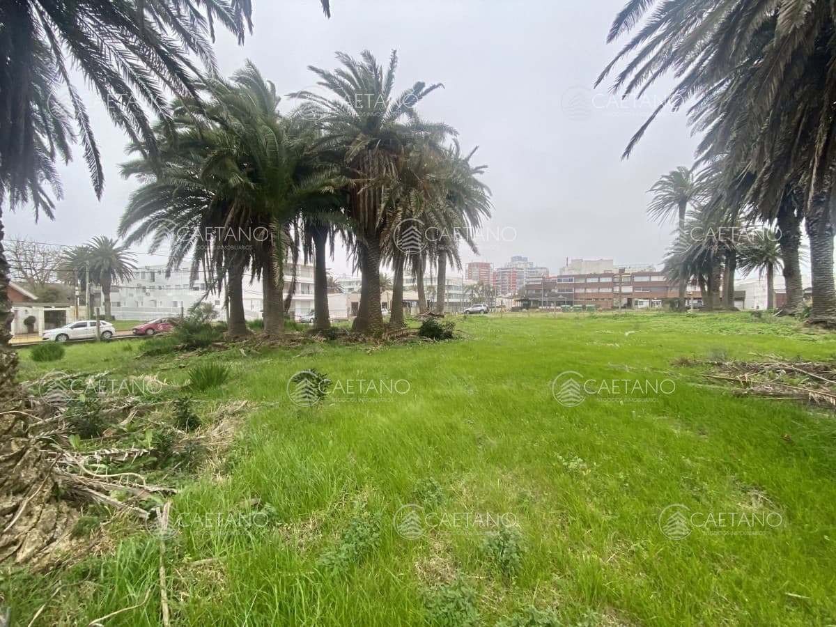 Terreno en venta Península de Punta del Este — foto 3