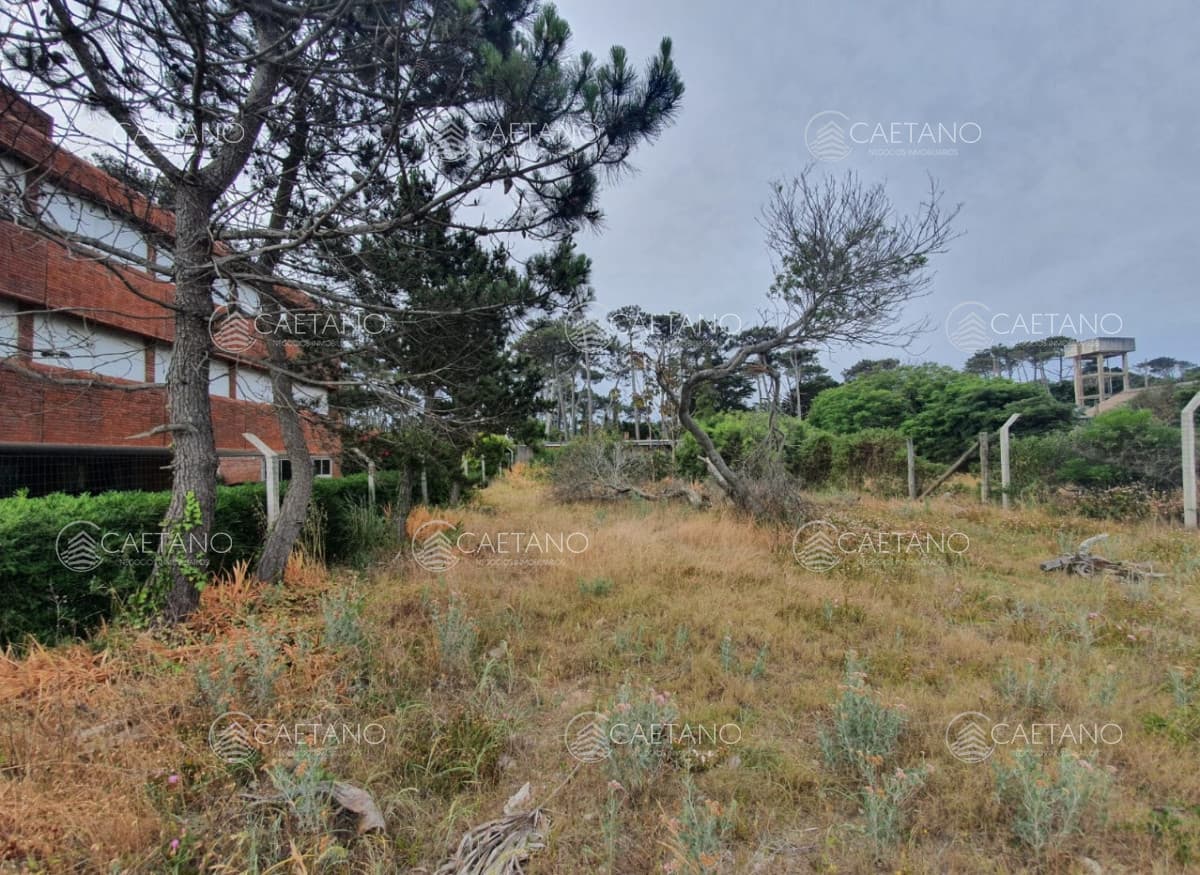 Terreno en venta en San Rafael