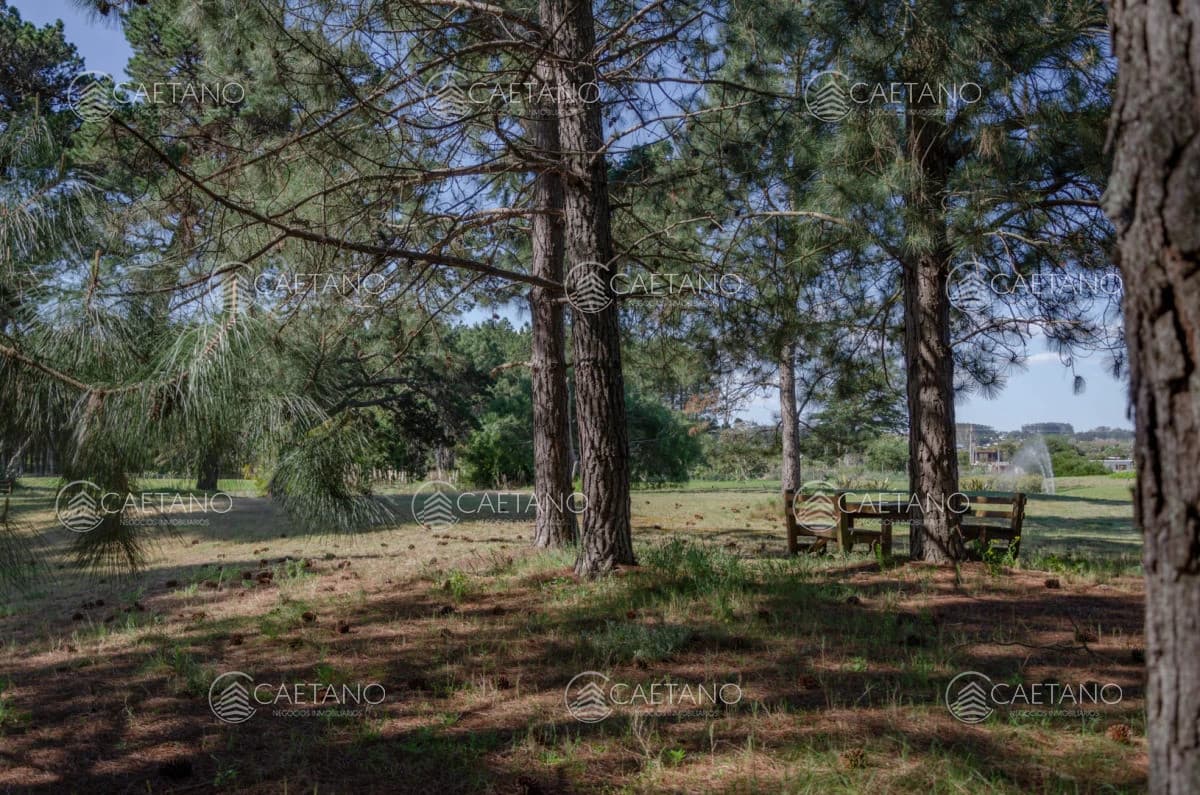 Venta lote en Veramansa, Playa Mansa