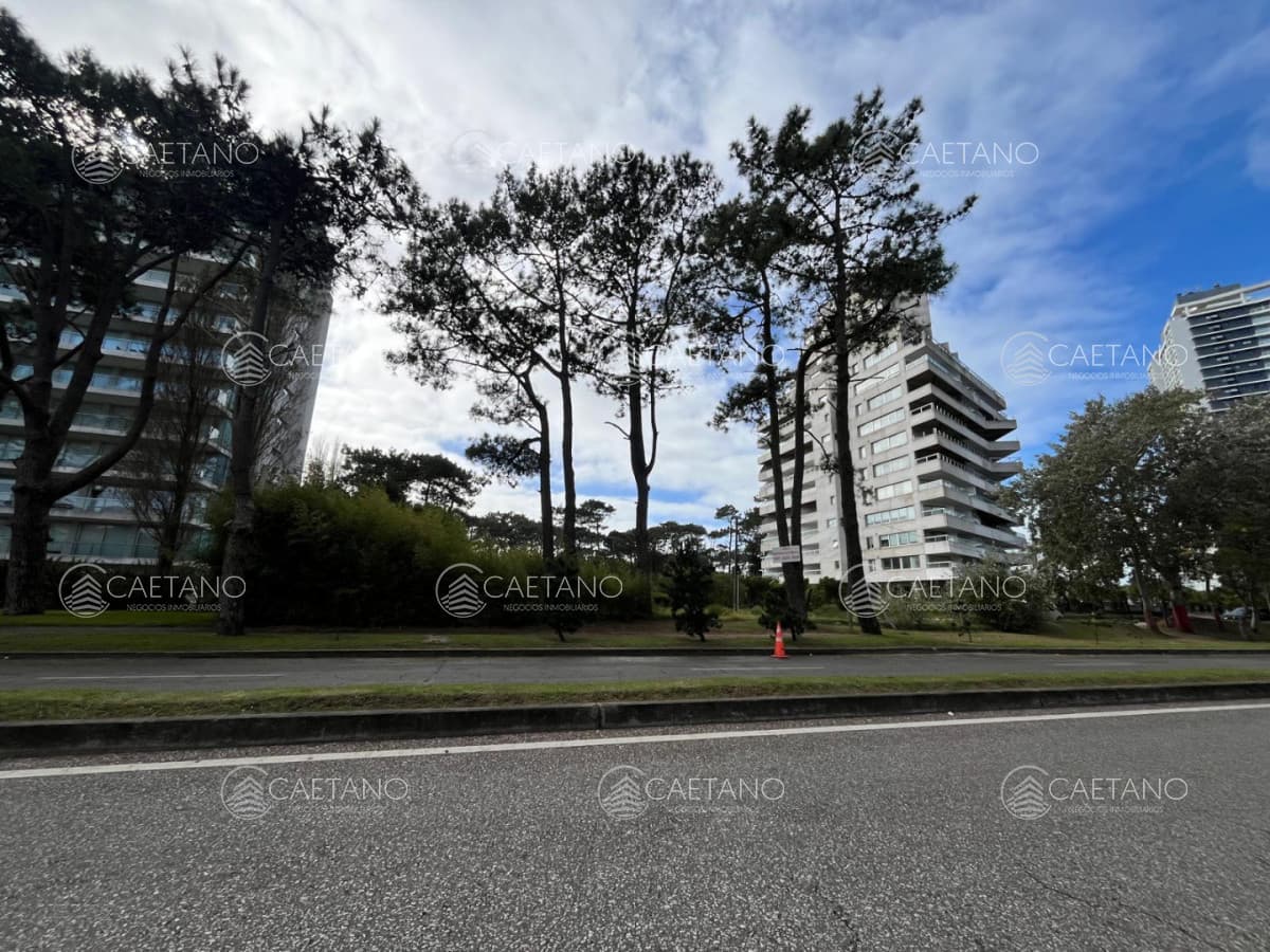 Venta terreno apto para edificio de 20 pisos sobre Roosevelt Punta del Este — foto 2