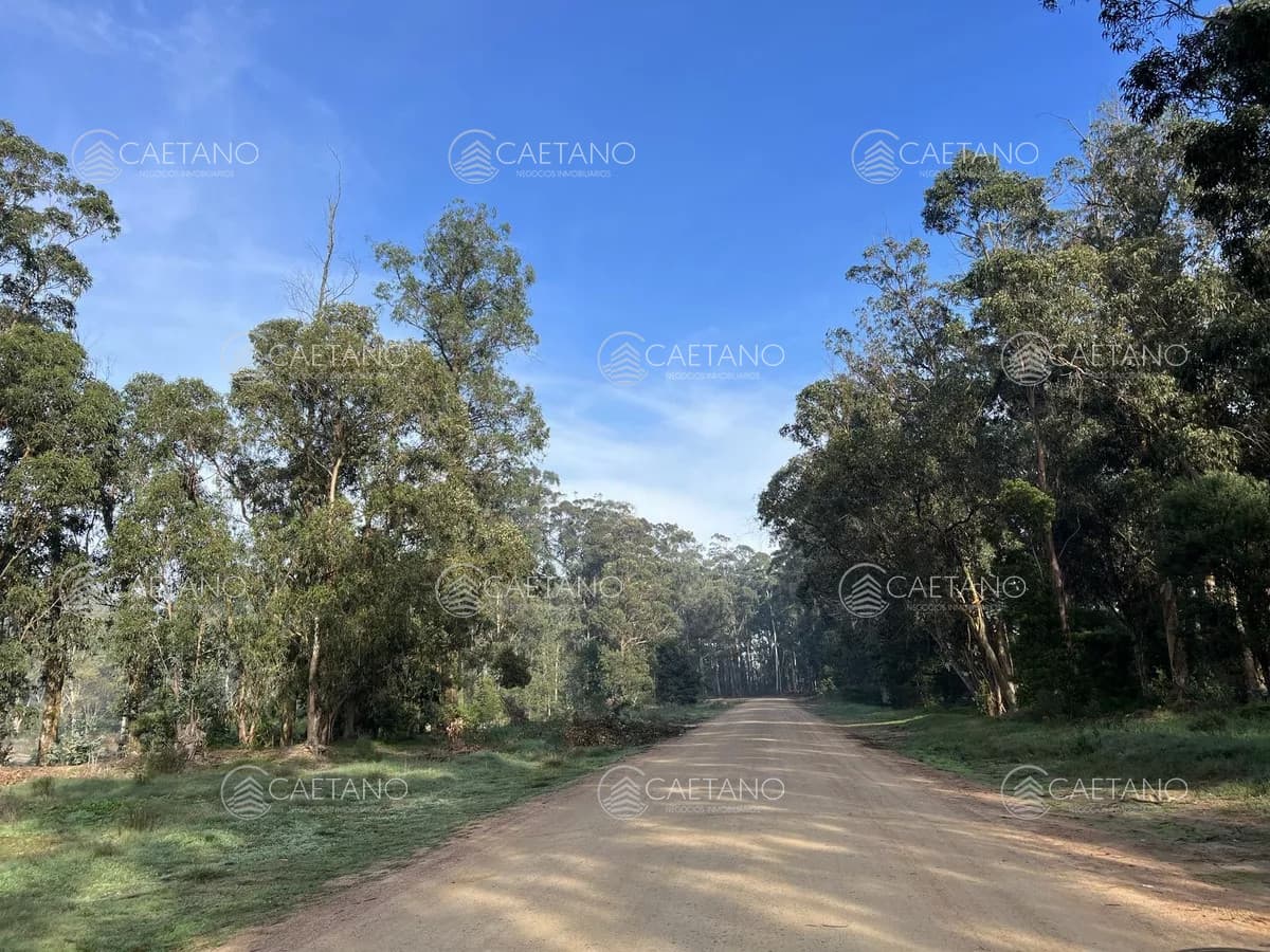 Venta terreno Maldonado — foto 2