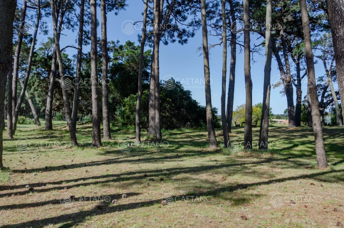 Venta lote en Veramansa, Playa Mansa — foto 2
