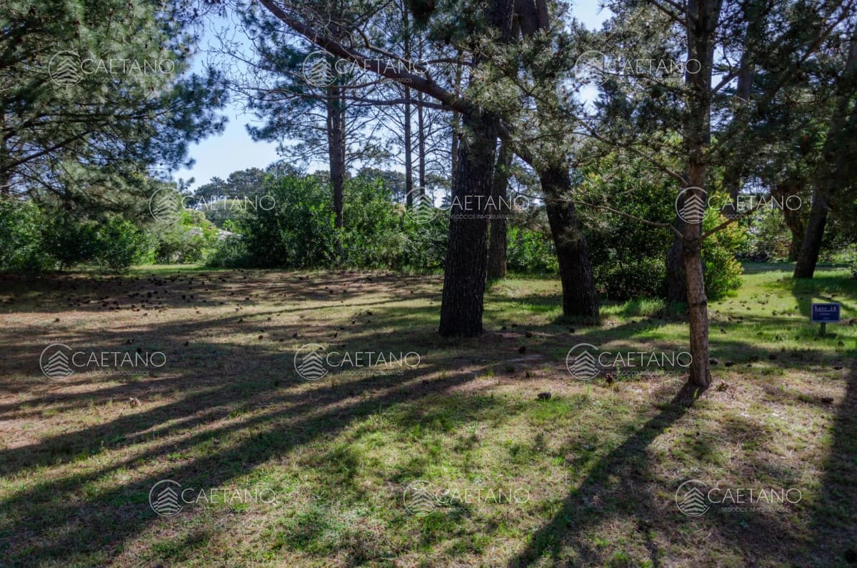 Venta lote en Veramansa, Playa Mansa — foto 3