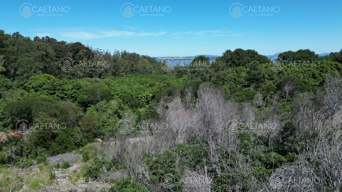 Venta terreno en las cumbres — foto 3