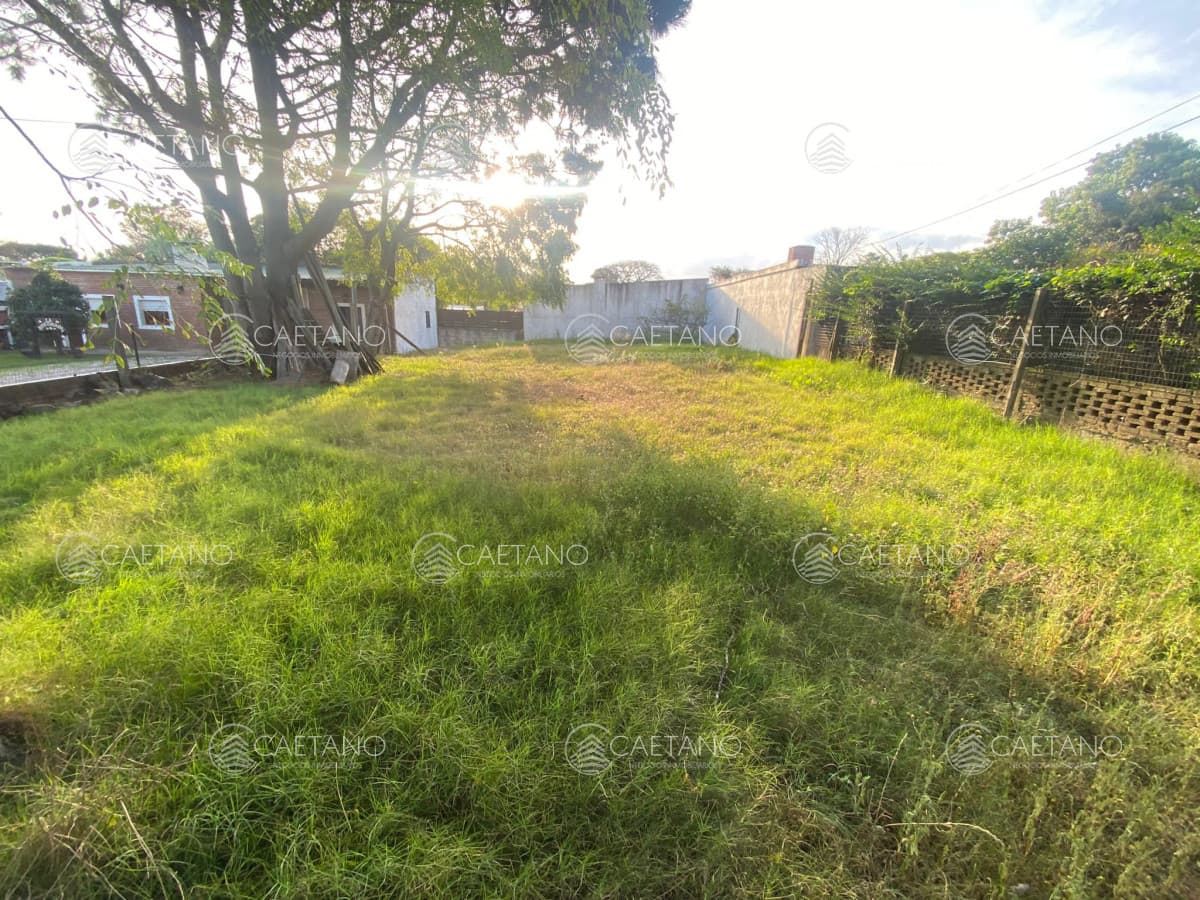 Venta terreno en playa mansa Punta del Este — foto 3