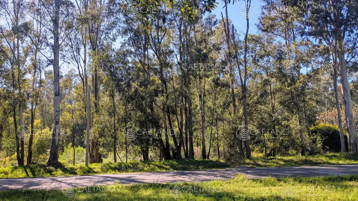 VENTA TERRENO EN BELLA VISTA DE 1794 MTS — foto 3